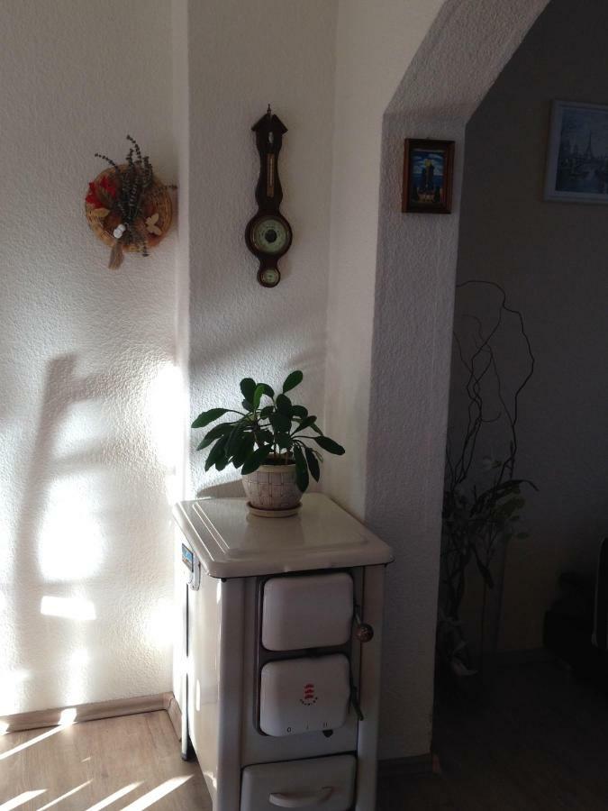 Ferienwohnung Mit Garten In Koeln Екстериор снимка